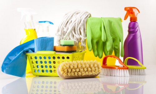 Professional domestic cleaning service for homes in Stockwell