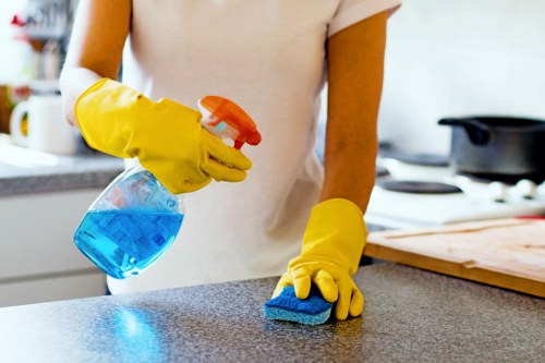 Professional stain and smell treatment for pet accidents in Stockwell