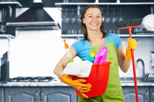 Service record review for a garment care issue