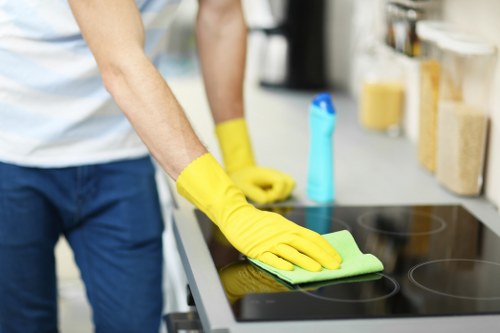Deep-cleaning oven shelves and glass in a Stockwell home