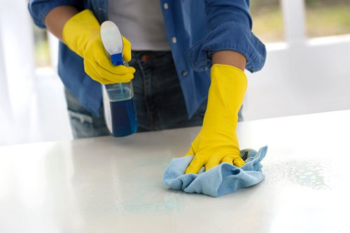 Local cleaner maintaining a flat in Stockwell with routine housekeeping
