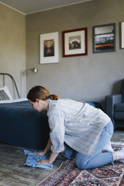 A person dressed in full protective equipment, including a white coverall, face mask, gloves, and shoe covers, is performing surface cleaning in a modern living room. They are using a vacuum cleaner to remove dust or debris from a beige textured carpet. The room features a light-colored wooden shelving unit with decorative items and books, a tall plant in a white pot, and a large mirror leaning against the wall. The space is well-lit with natural light, highlighting the cleanliness and tidy appearance of the room. This scene illustrates deep cleaning and sanitisation carried out by Stockwell Cleaners in a residential setting, emphasizing their professional domestic cleaning services.